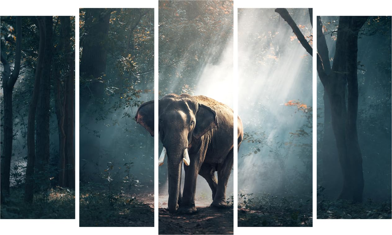 inep-b07cg1ybxd-elephant-tastic-multi-frame-wall-art-that_ll-trumpet-joy-with-five-elegant-elephant-nature-scenes-framed-on-a-wall..jpg
